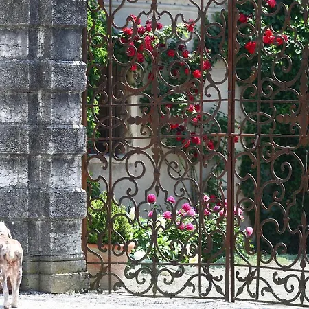 Relais Corte Paradiso Apartment Peschiera del Garda